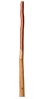 Wix Stix Didgeridoo (WS194)